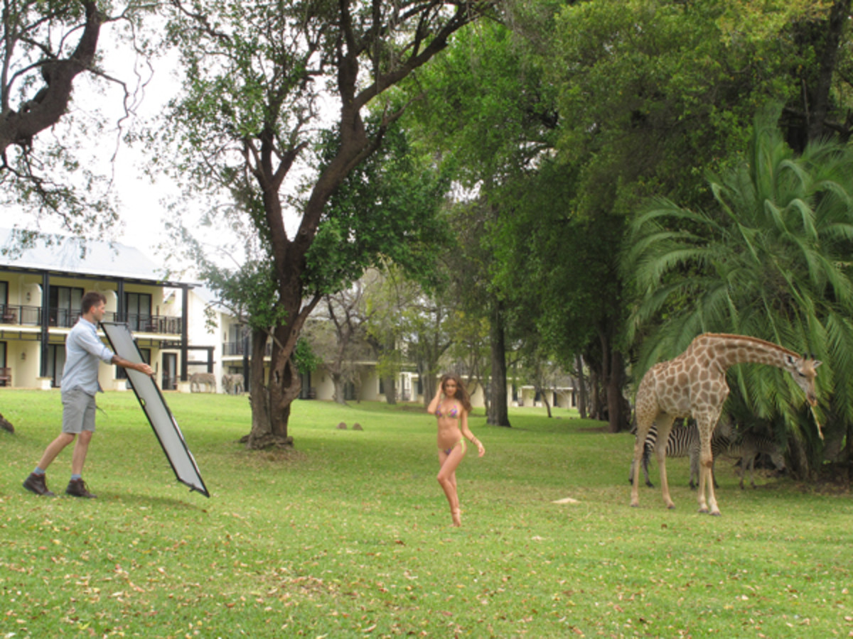 animals-irina-giraffe.jpg